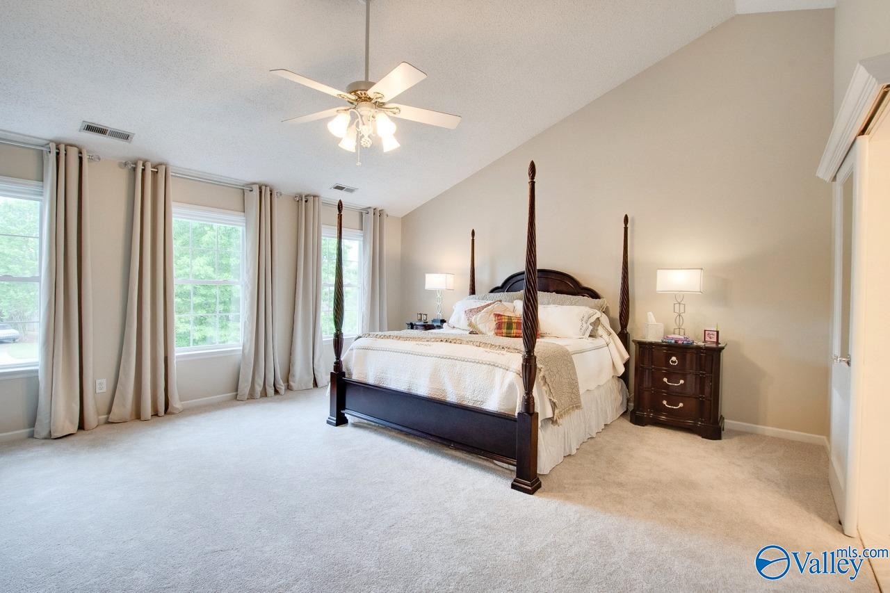 127 Bay Pointe Lane, Madison, Alabama image 21