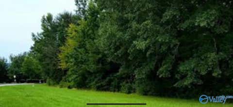 Vacant Land For Sale - 2 Clairvaux Drive<br/> Etowah County, Gadsden, AL 35901