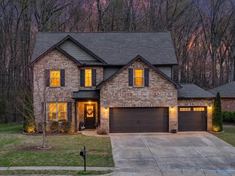 Homes For Sale - 381 Willow Bank Circle<br/> Decatur, AL 35603