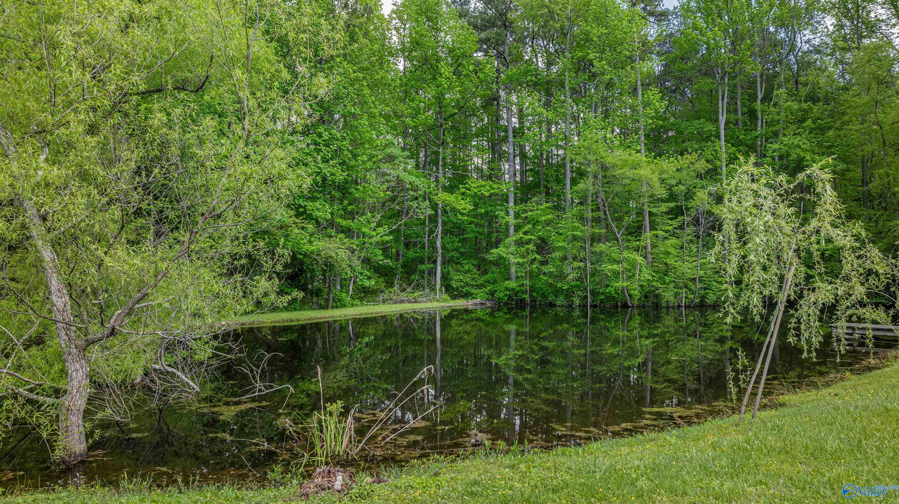 2725 County Road 121, Fort Payne, Alabama image 37