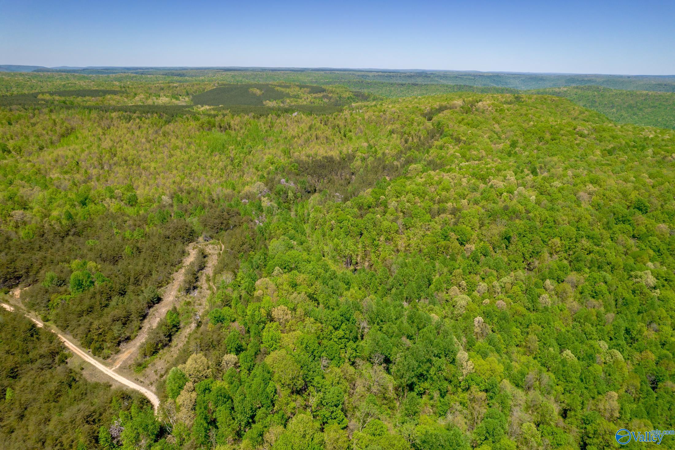 1958 County Road 158, Stevenson, Alabama image 5