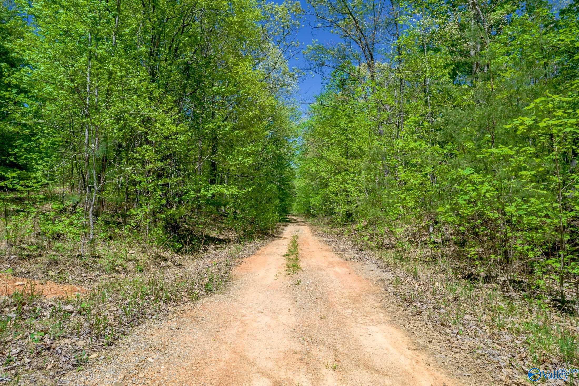 1958 County Road 158, Stevenson, Alabama image 3