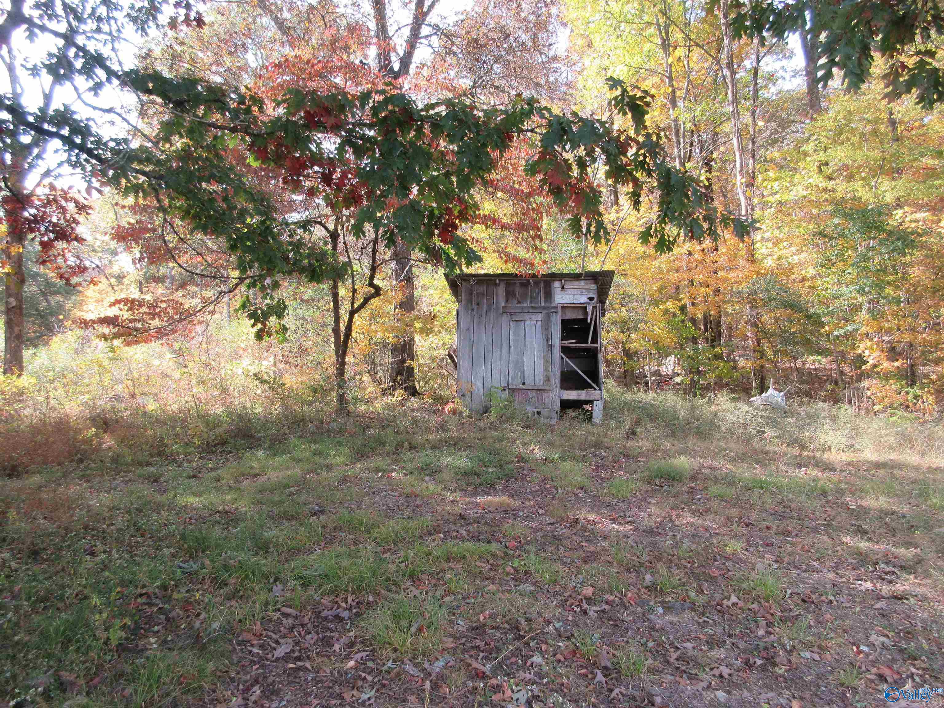 1958 County Road 158, Stevenson, Alabama image 50