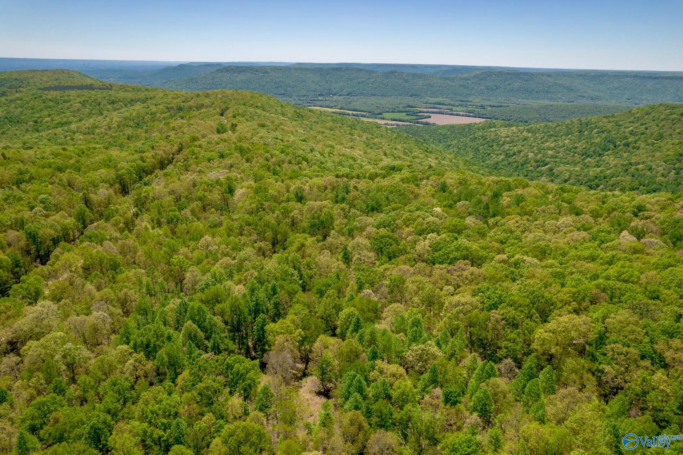 1958 County Road 158, Stevenson, Alabama image 13