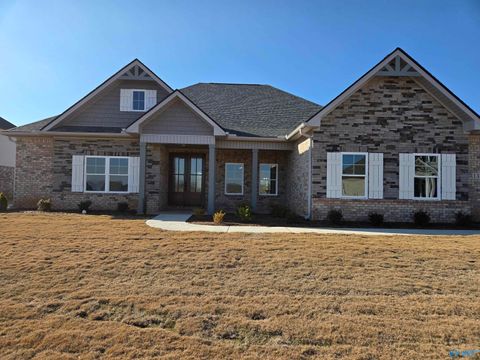 Photo of 138 Brier View Drive, Meridianville, AL 35759 (MLS # 21906679)