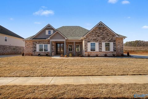 Homes For Sale - 138 Brier View Drive<br/> Madison County, Meridianville, AL 35759