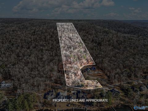Vacant Land For Sale - LOT 5 White Elephant Road<br/> Grant, AL 35747