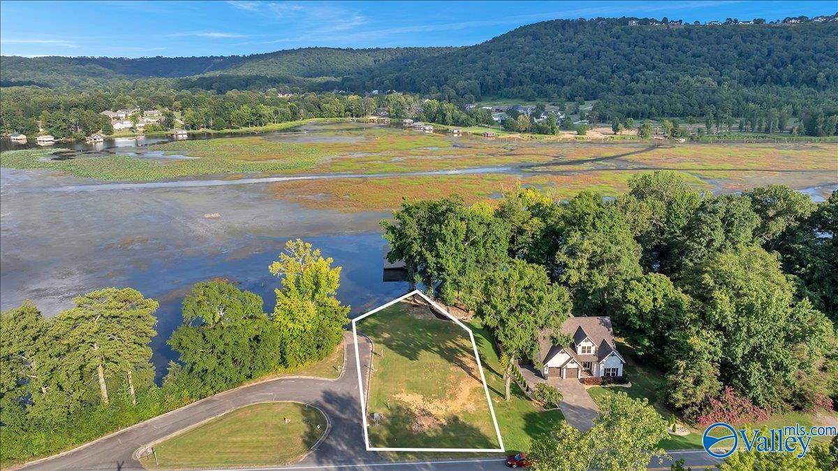 Lot 2 Hwy 79, Guntersville, Alabama image 20
