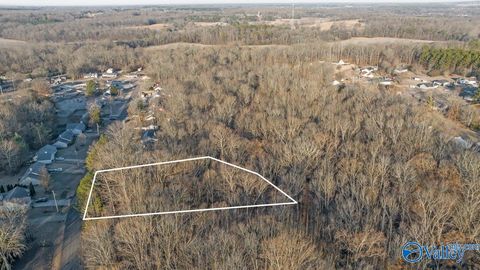 Vacant Land For Sale - 351 Buffalo Creek Drive<br/> Toney, AL 35773