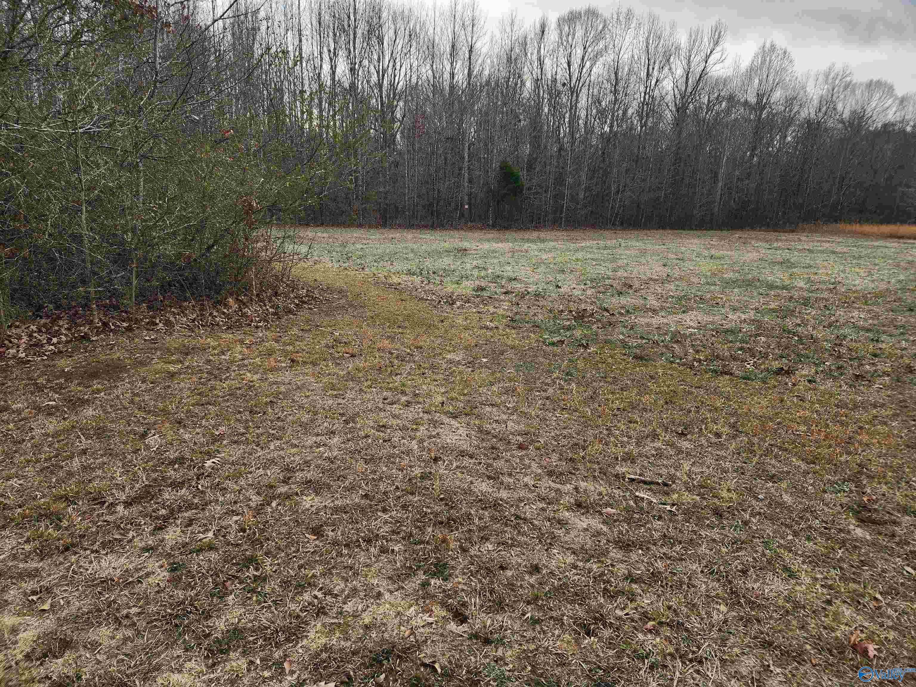 11 Acres Bobo Section Road, Hazel Green, Alabama image 3