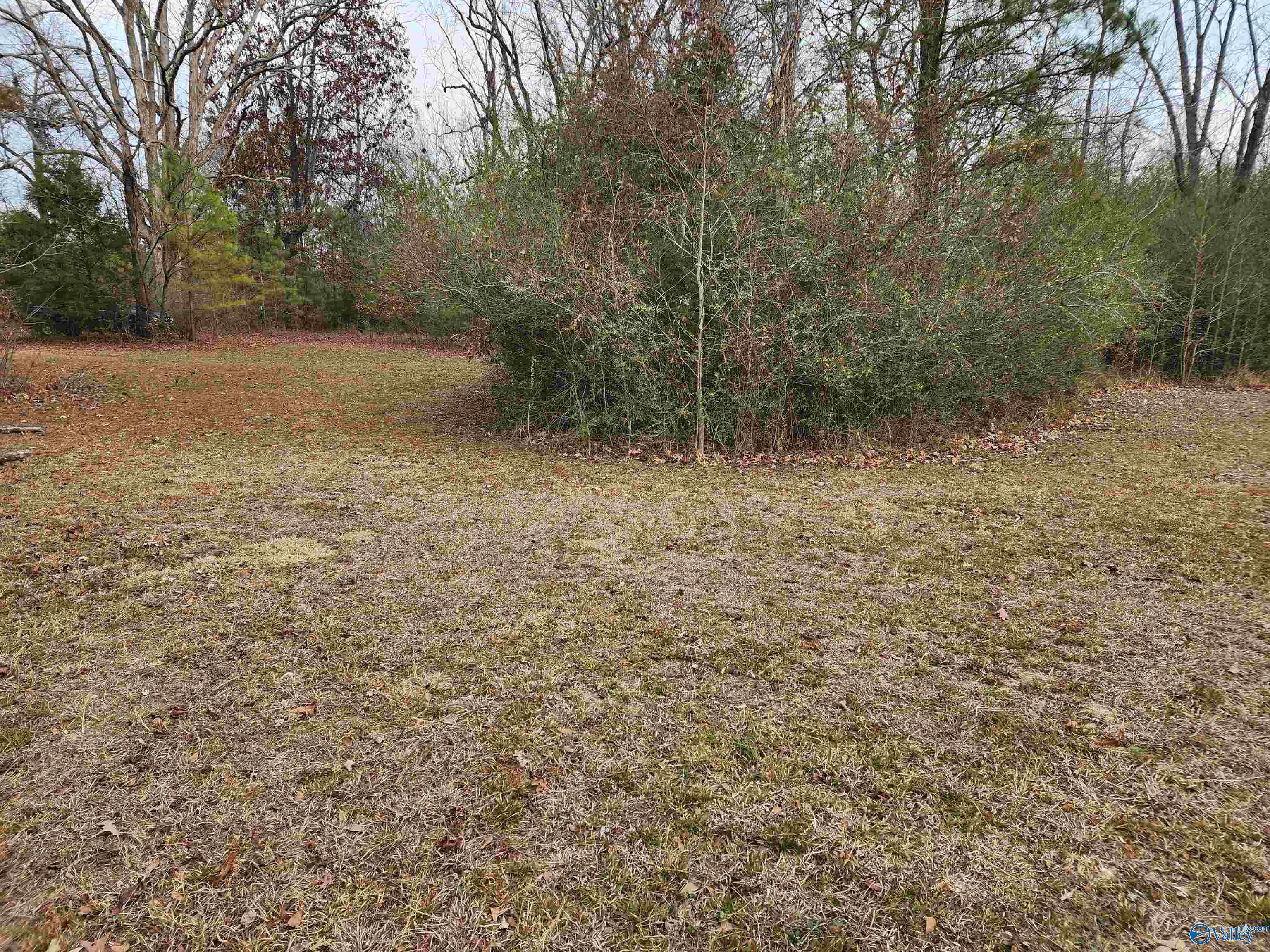 11 Acres Bobo Section Road, Hazel Green, Alabama image 2