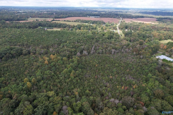 29 COUNTY RD 155, FLAT ROCK, AL 35966 - Image fef08e055bf8fdf314815c1ca1451b20/4032429074