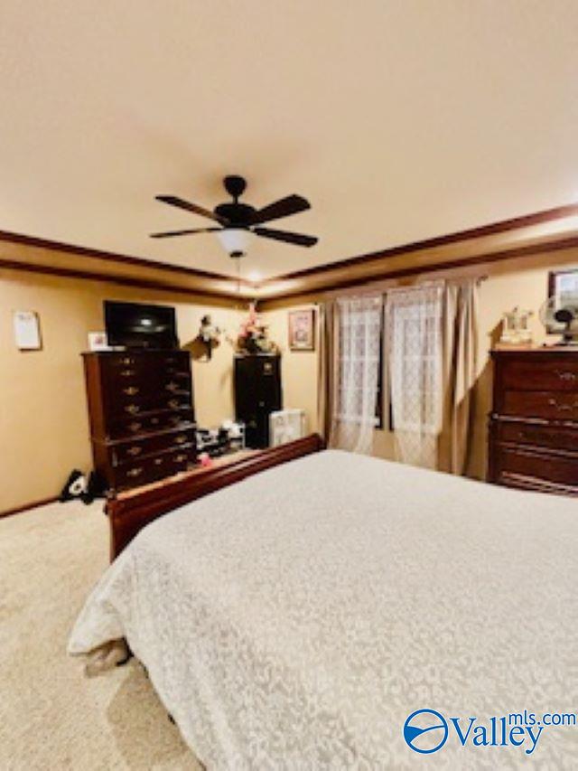 164 County Road 643, Henagar, Alabama image 17