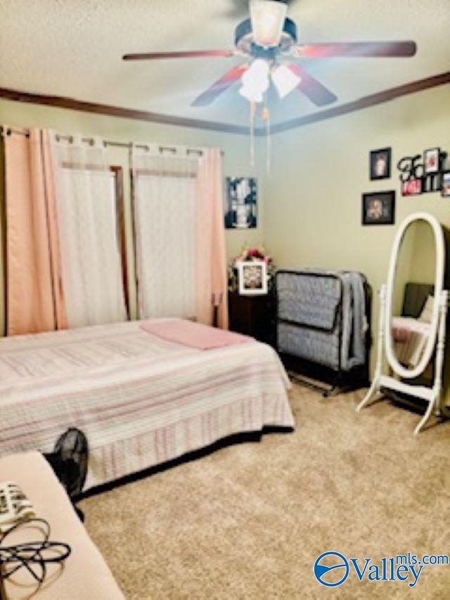 164 County Road 643, Henagar, Alabama image 22