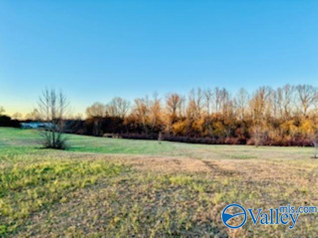 164 County Road 643, Henagar, Alabama image 5