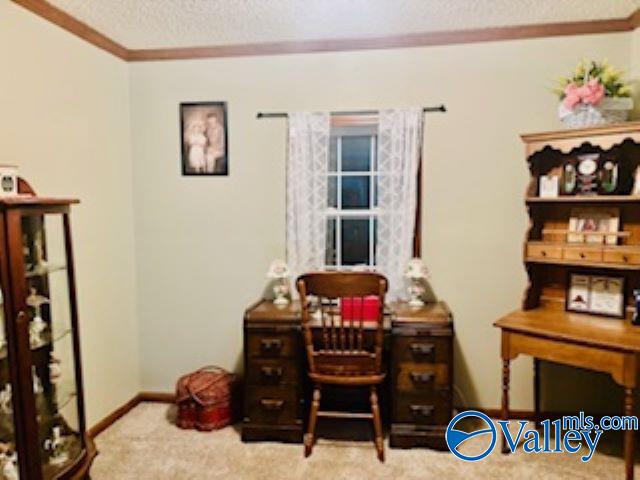 164 County Road 643, Henagar, Alabama image 20