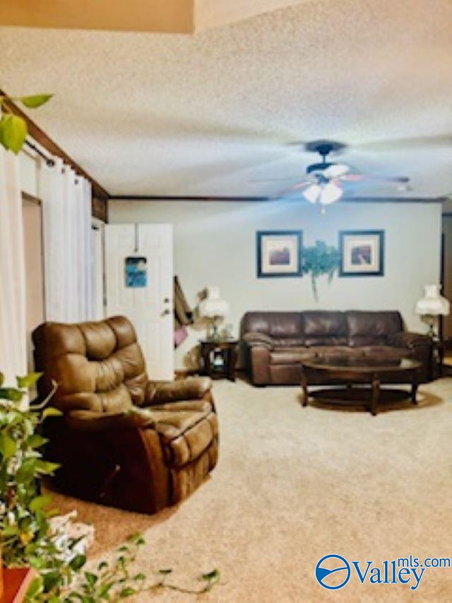 164 County Road 643, Henagar, Alabama image 9