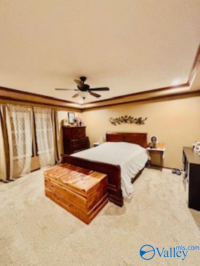 164 County Road 643, Henagar, Alabama image 16