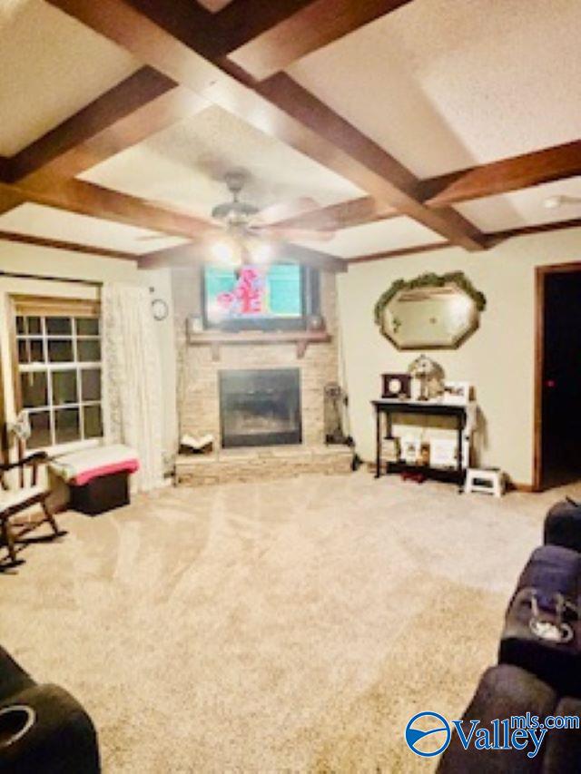 164 County Road 643, Henagar, Alabama image 15