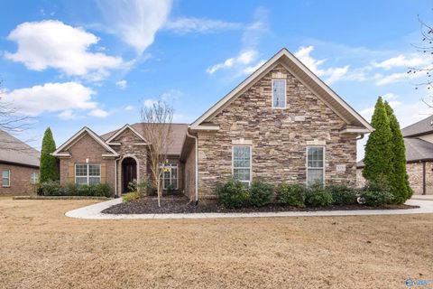 Photo of 3030 Laurel Cove Way, Gurley, AL 35748 (MLS # 21905221)