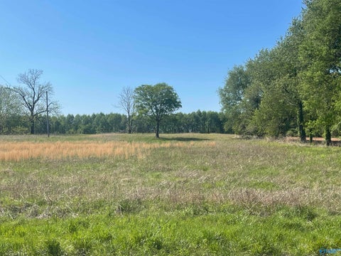 Vacant Land For Sale - 14336 County Road 2<br/> Florence, AL 35633