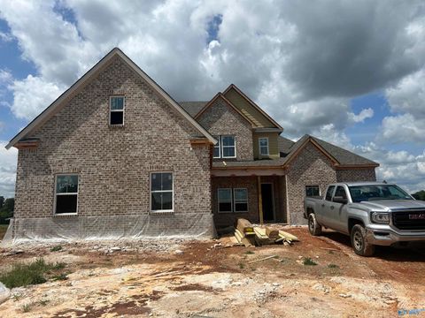 Homes For Sale - 113 Ron Drive<br/> Meridianville, AL 35759