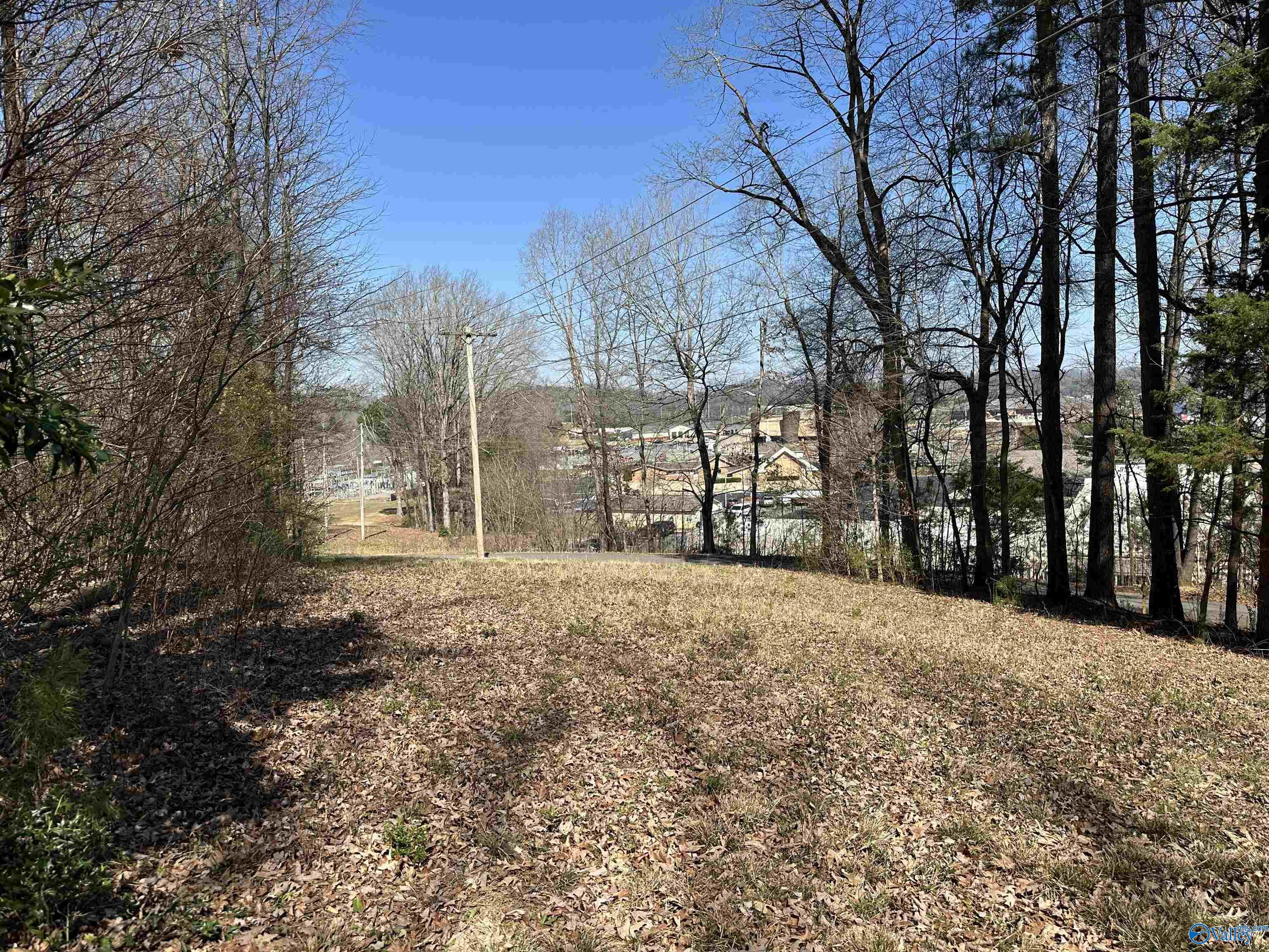 .32 Acres North Street, Guntersville, Alabama image 11