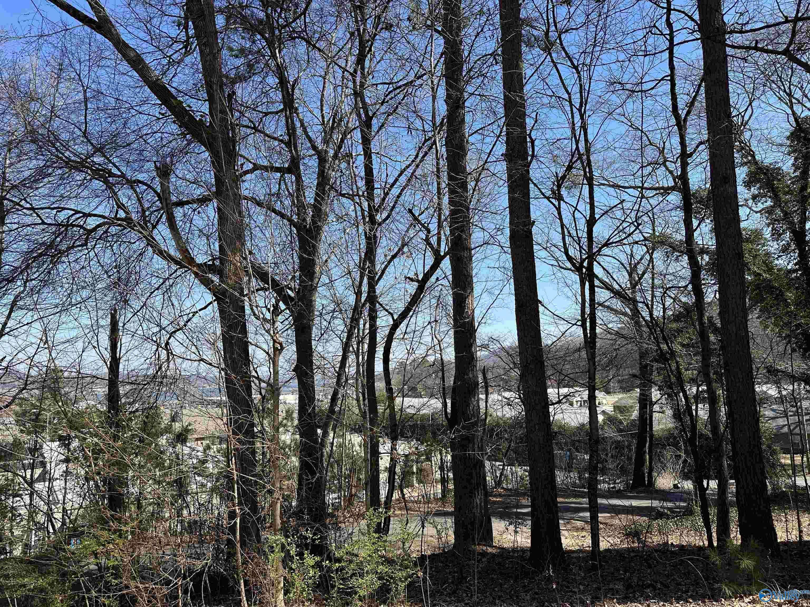 .32 Acres North Street, Guntersville, Alabama image 3