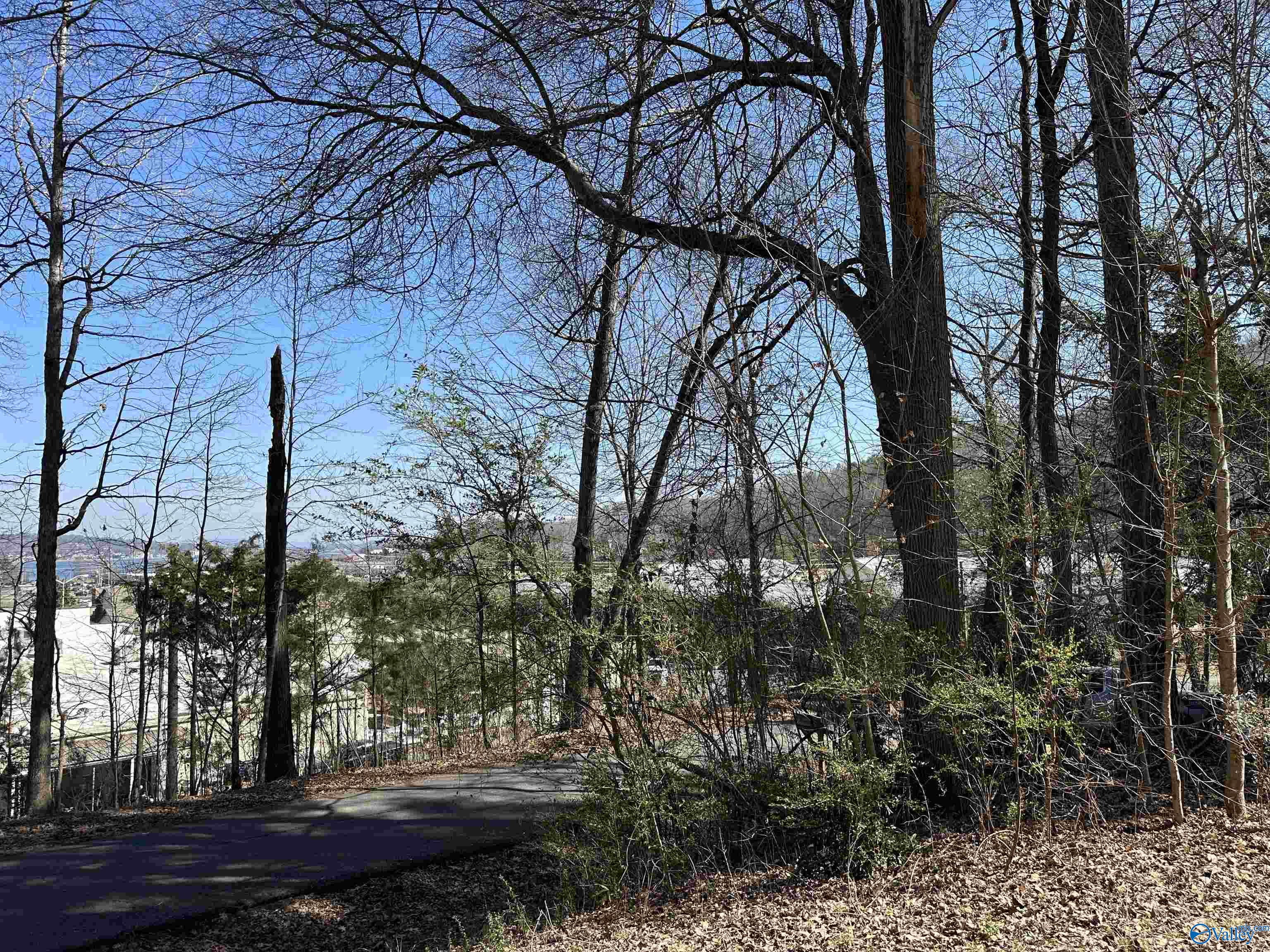 .32 Acres North Street, Guntersville, Alabama image 10