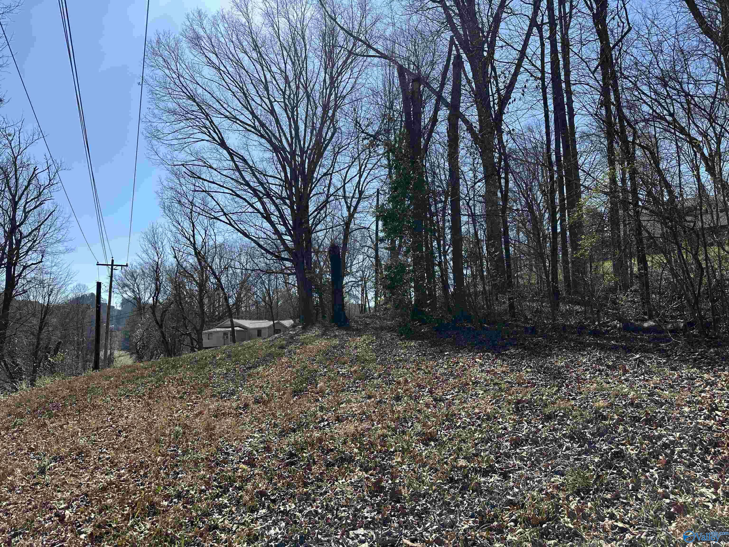 .32 Acres North Street, Guntersville, Alabama image 5