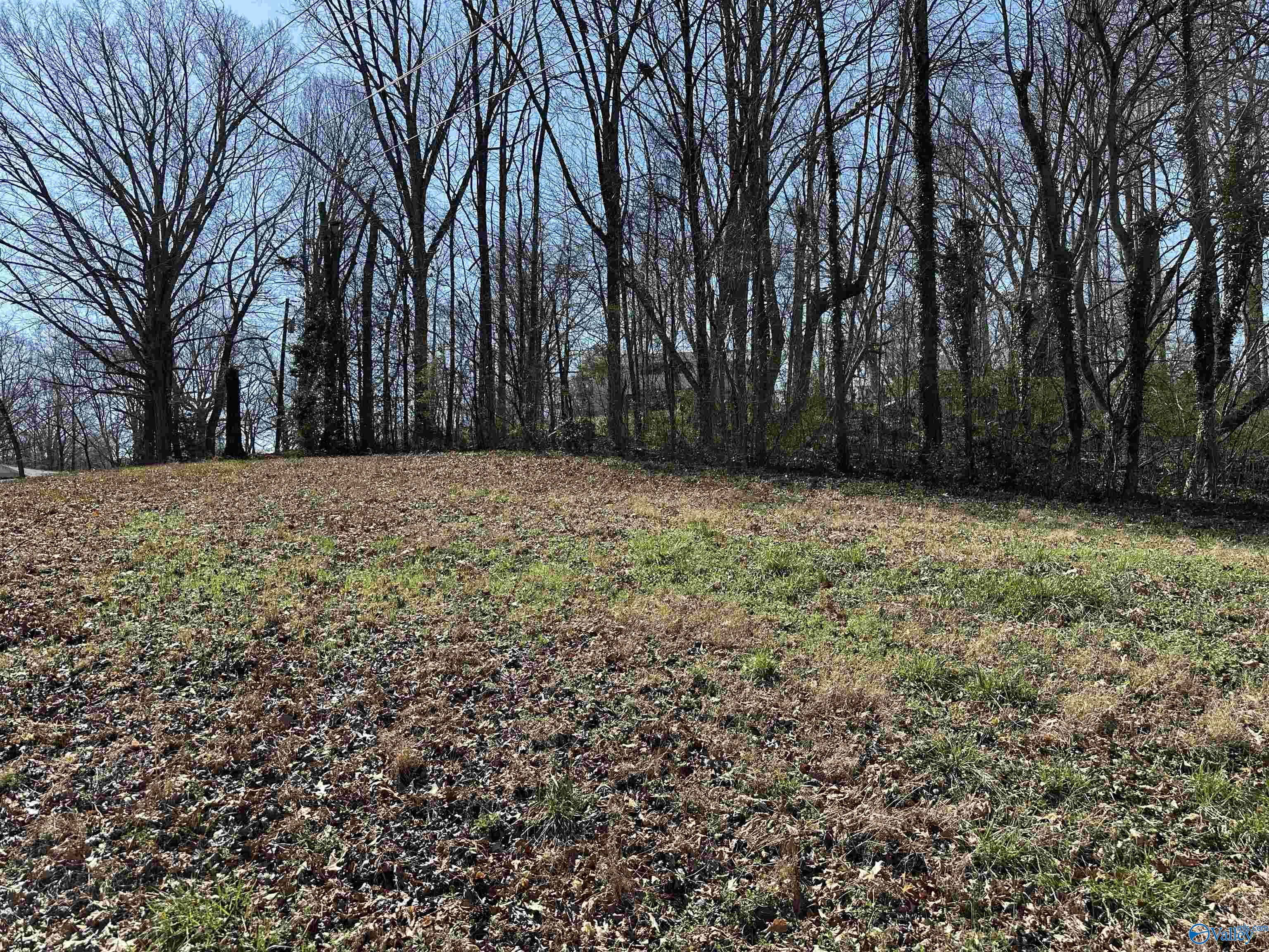 .32 Acres North Street, Guntersville, Alabama image 2