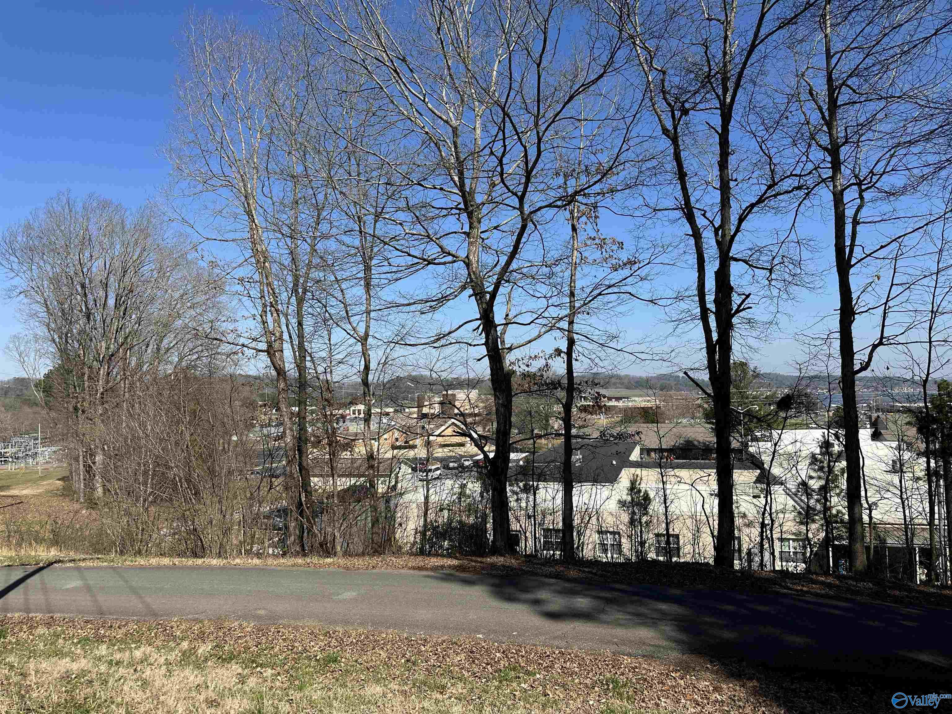 .32 Acres North Street, Guntersville, Alabama image 9