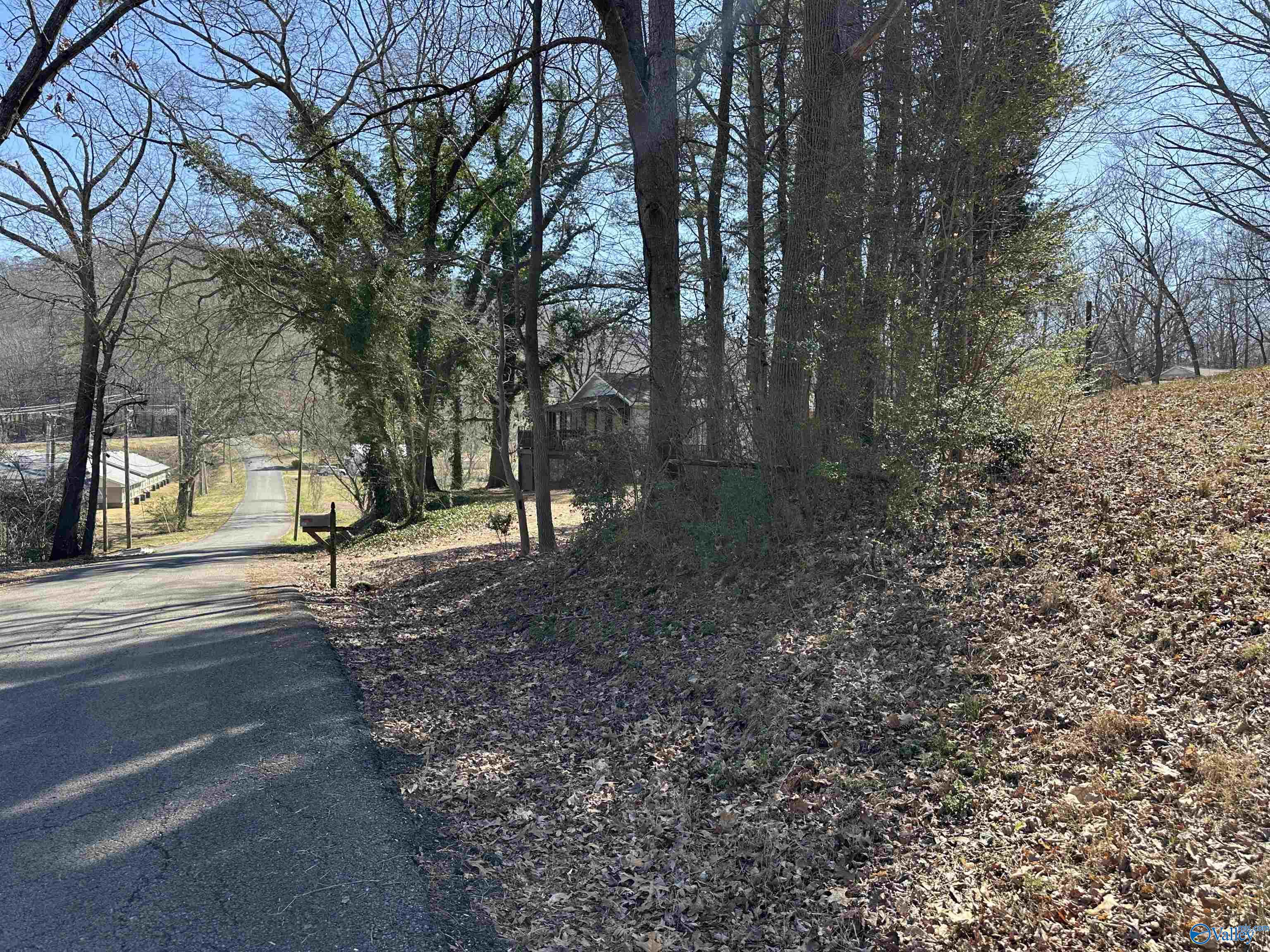 .32 Acres North Street, Guntersville, Alabama image 7