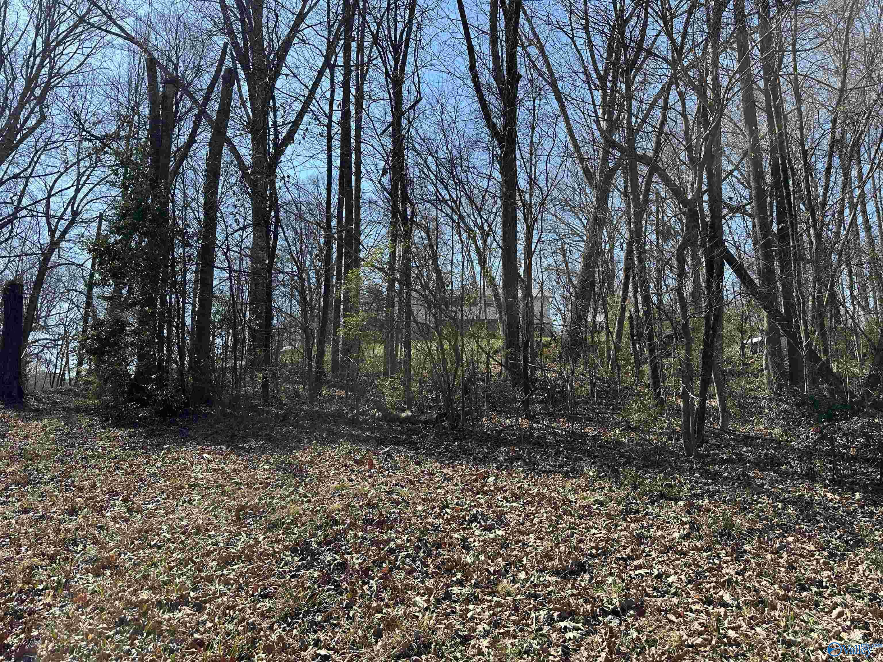 .32 Acres North Street, Guntersville, Alabama image 4