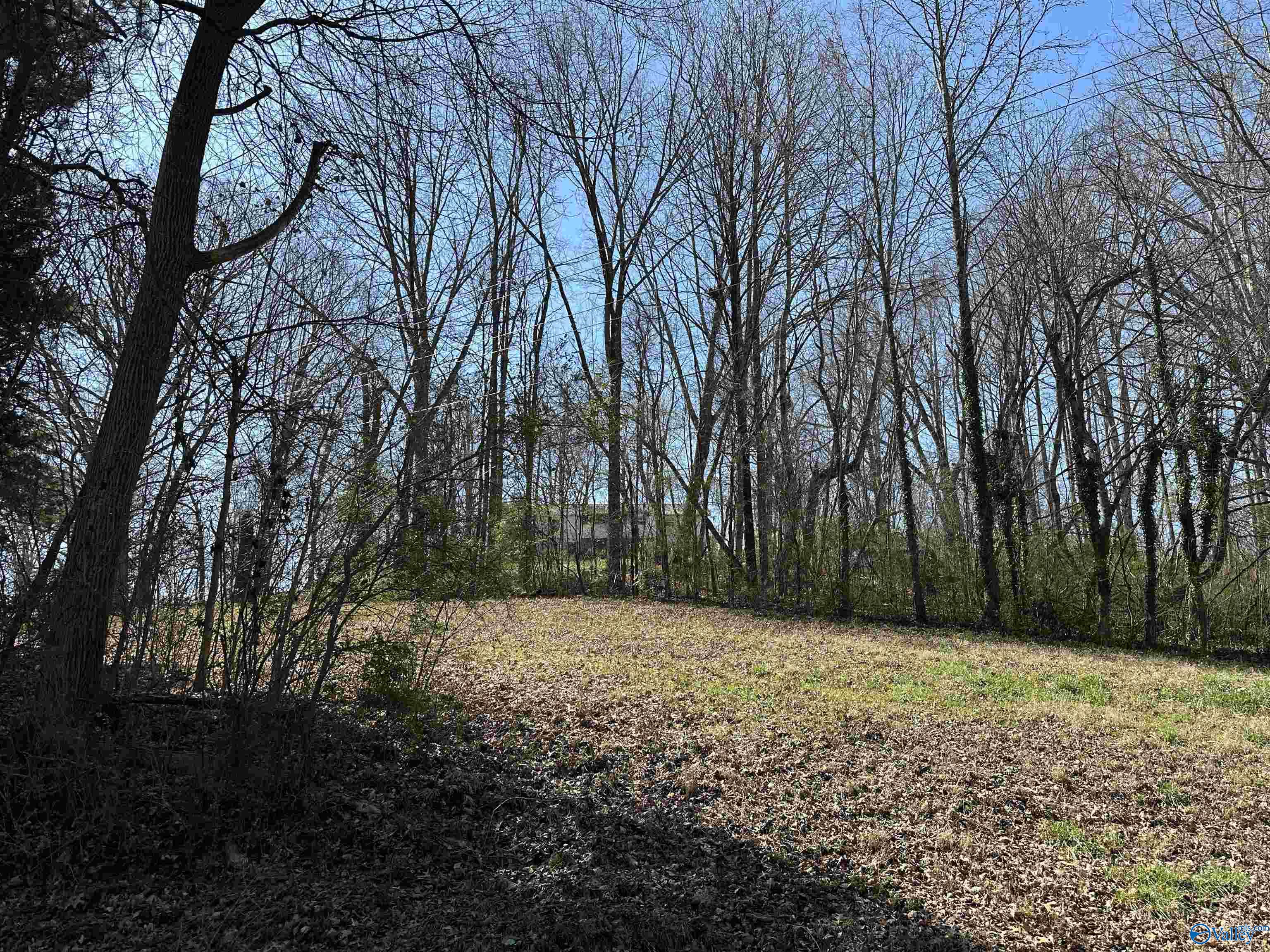.32 Acres North Street, Guntersville, Alabama image 1