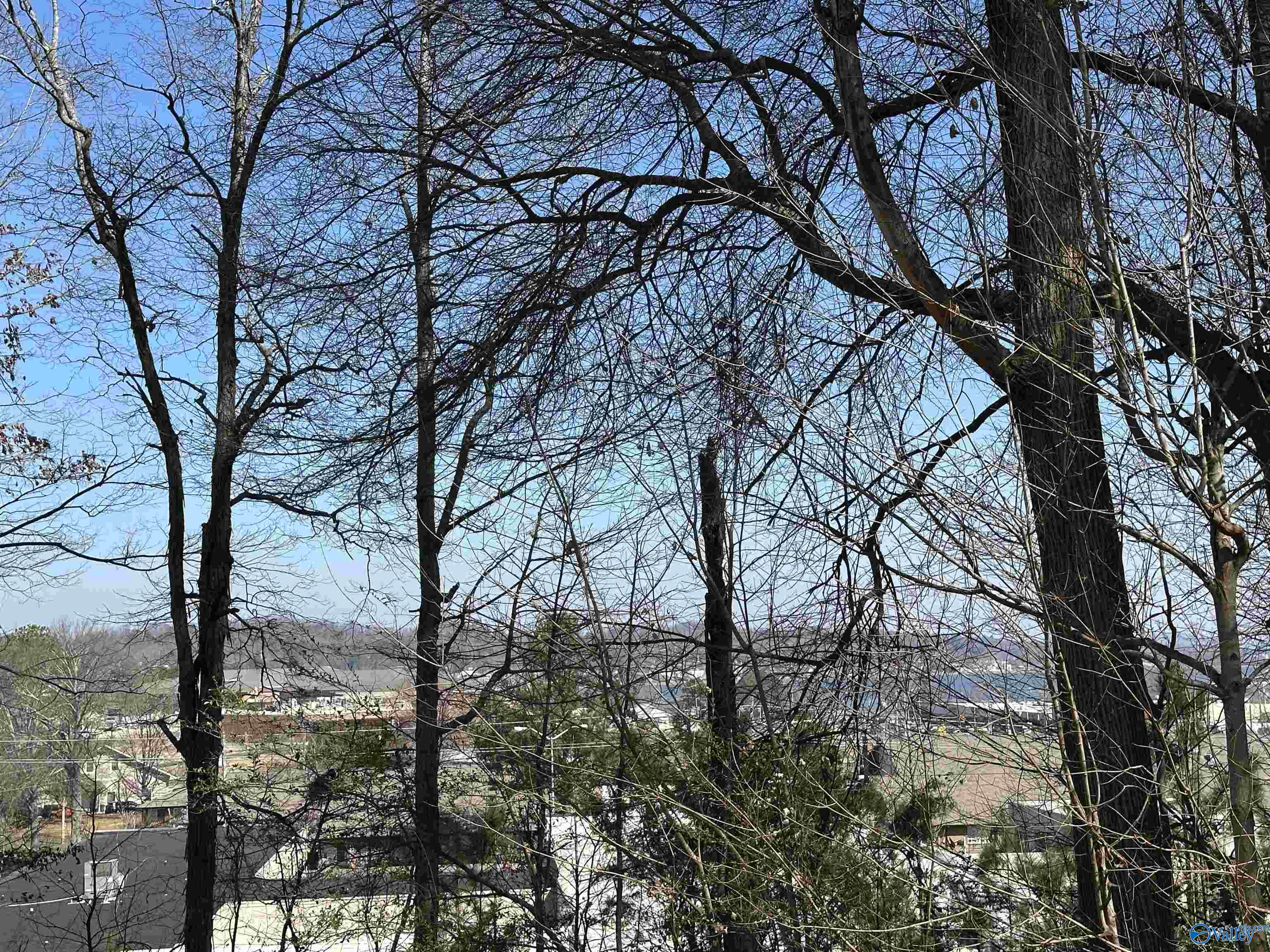 .32 Acres North Street, Guntersville, Alabama image 8