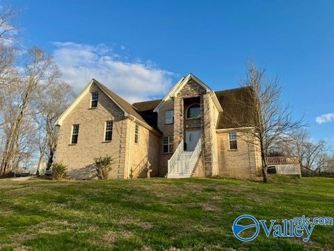 Photo of 28726 Ragsdale Creek Road, Elkmont, AL 35620 (MLS # 21911600)