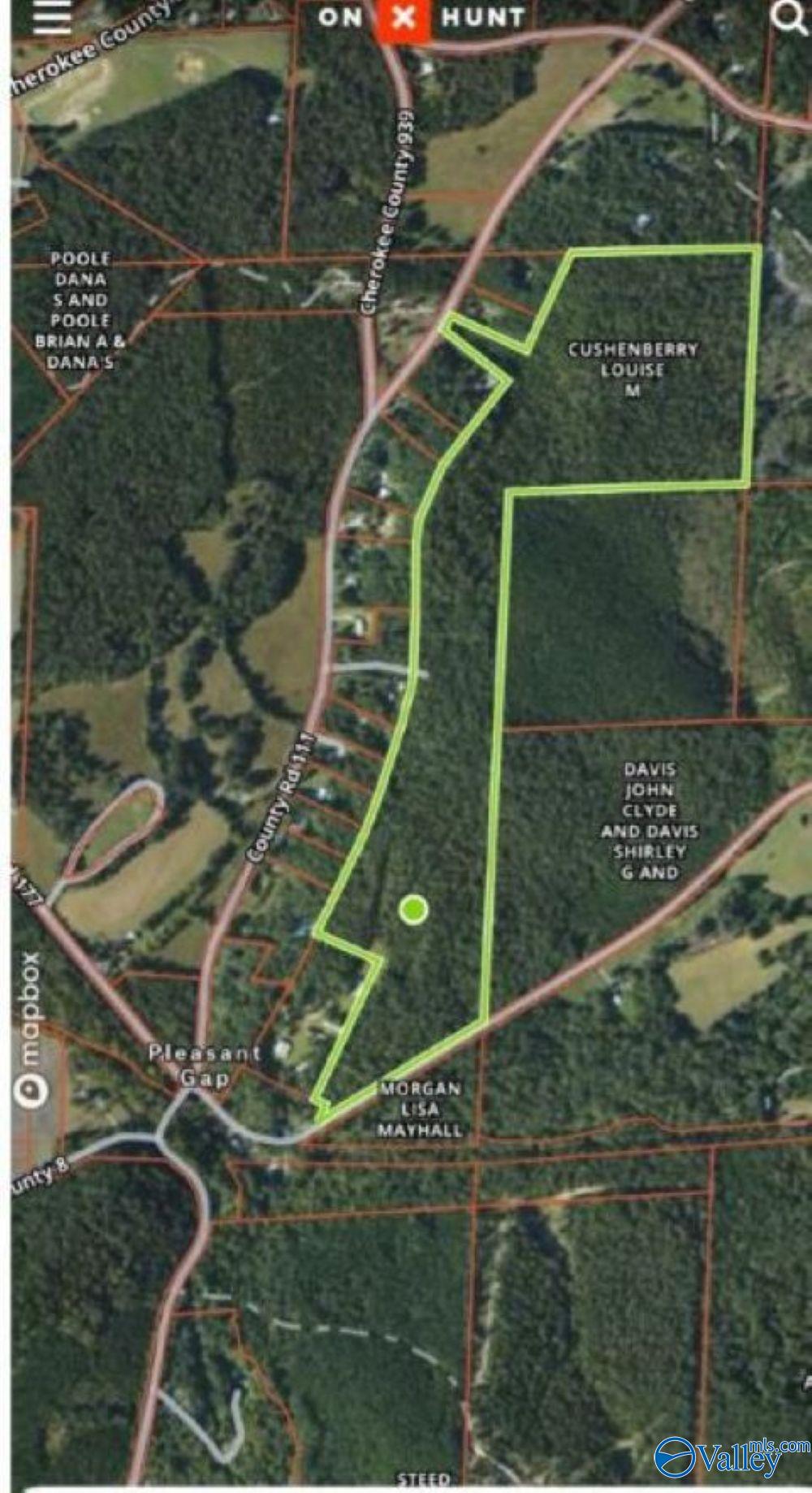 89 Acres County Road 8, Piedmont, Alabama image 2