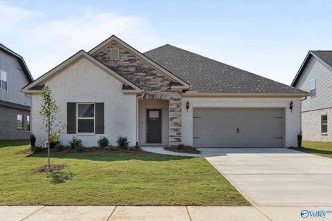 Homes For Sale - 168 Saddle Street<br/> New Market, AL 35761