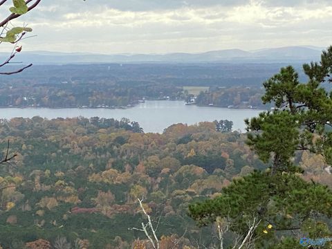 Vacant Land For Sale - 83 Cruickshank Lane<br/> Cherokee County, Leesburg, AL 35983