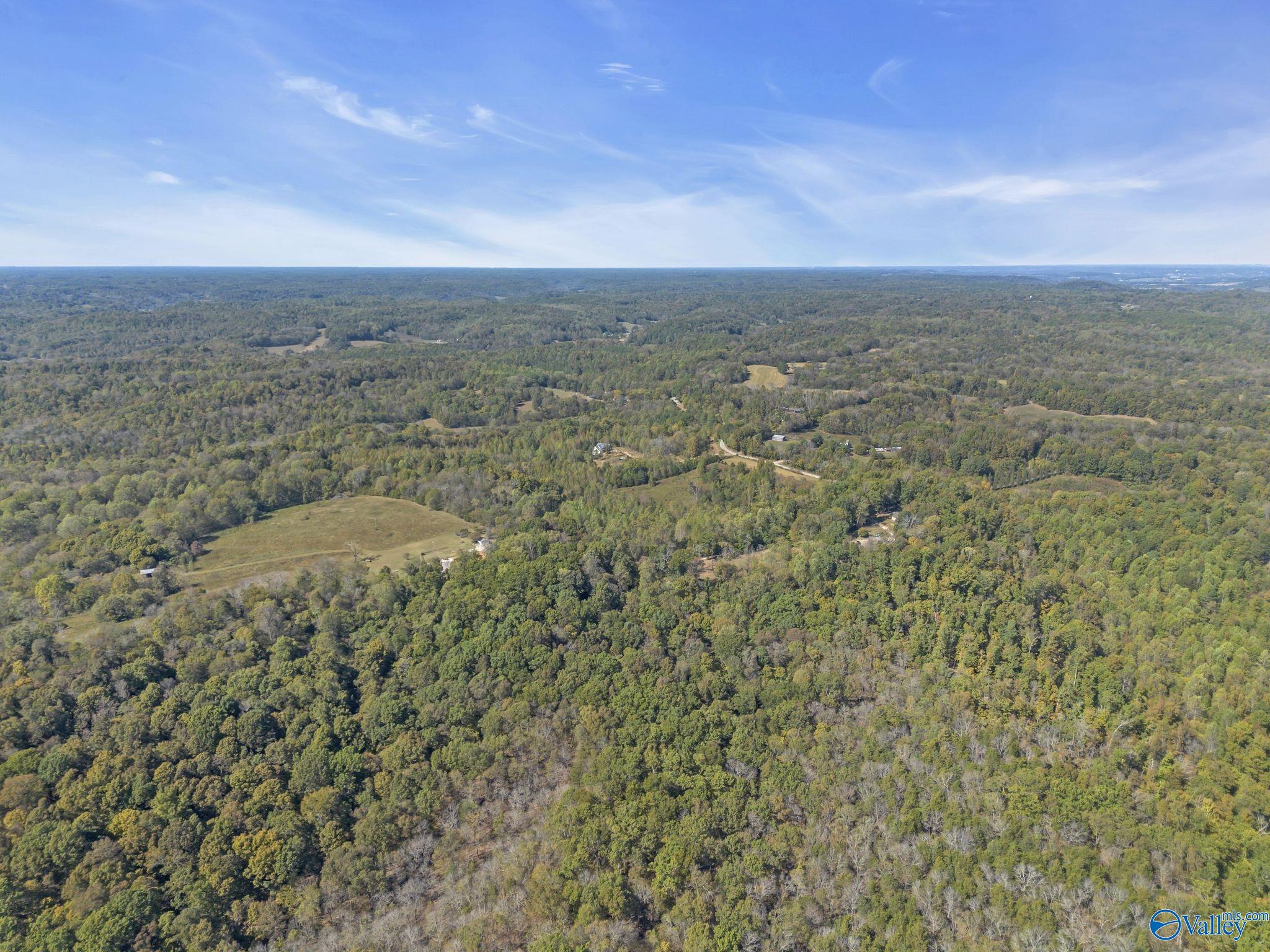 35+/- Acres Alf Harris Road, Prospect, Tennessee image 21