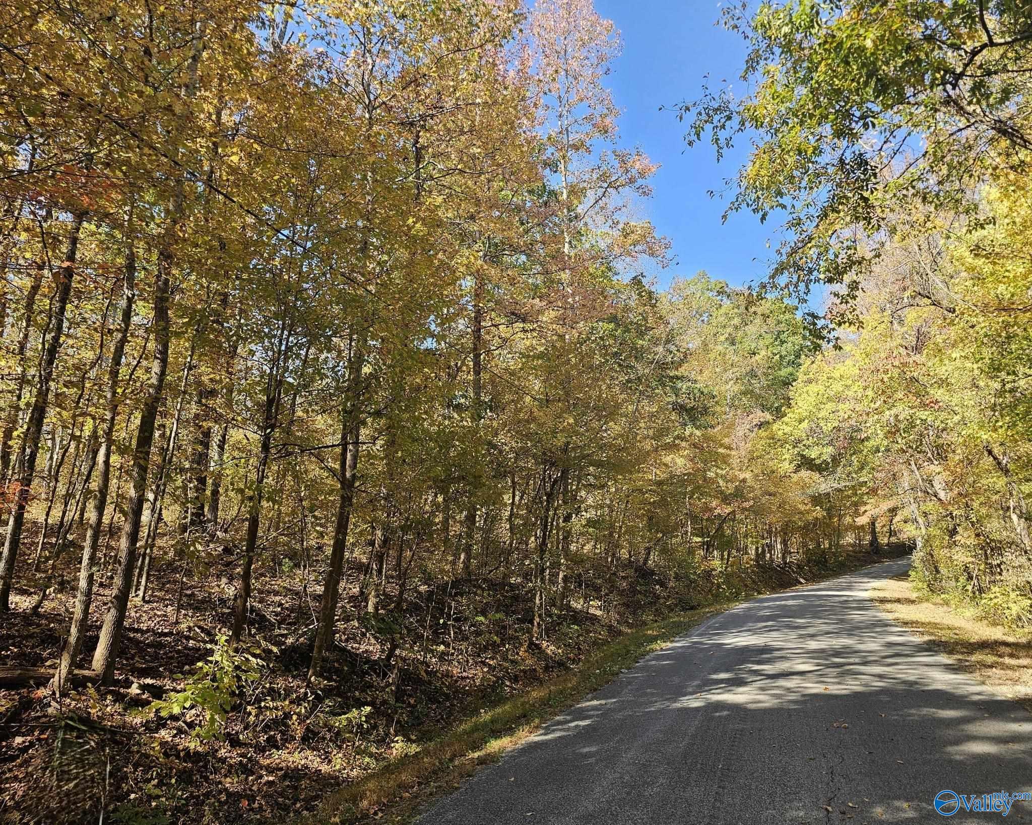 35+/- Acres Alf Harris Road, Prospect, Tennessee image 12