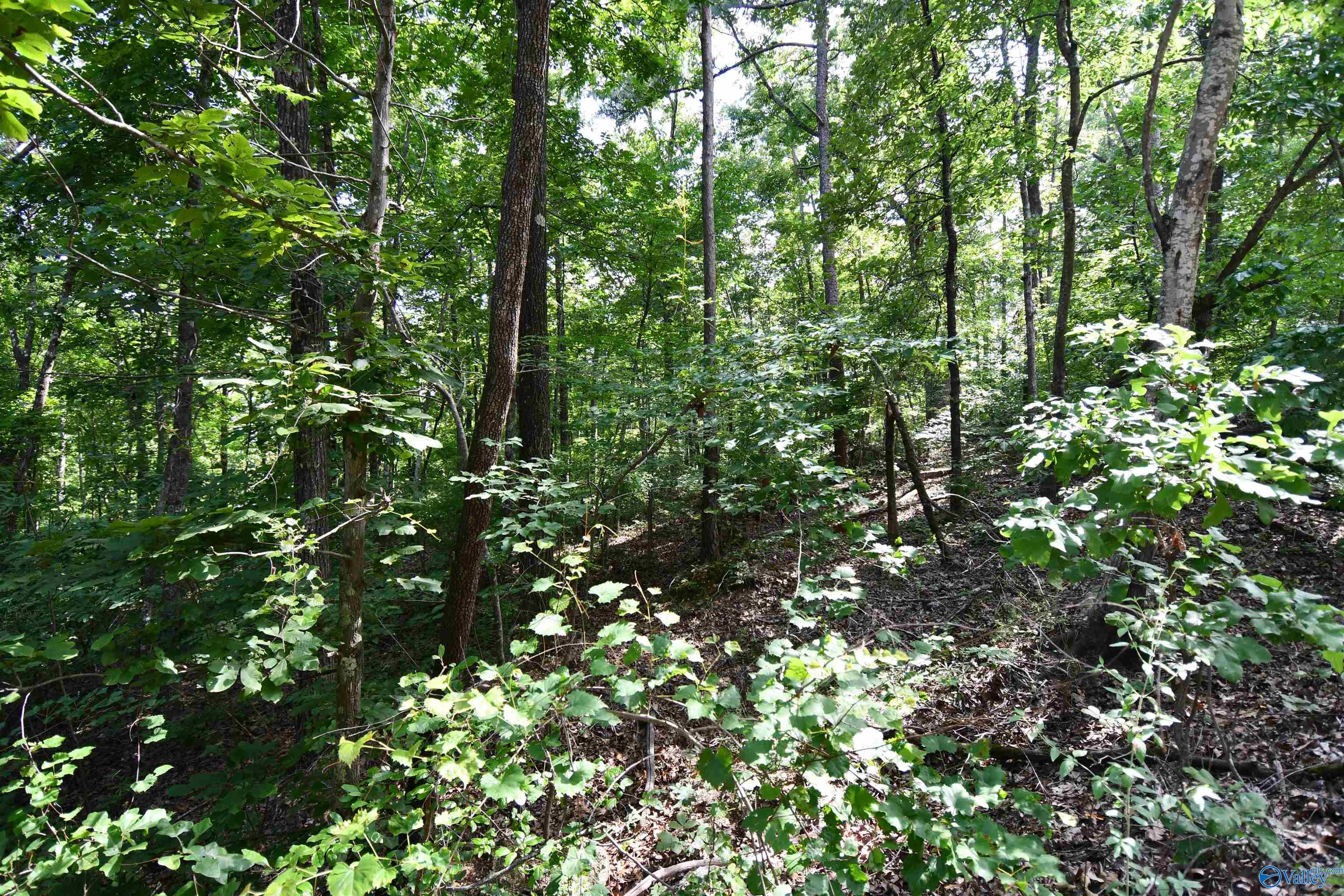 LOT 67 Prince Circle