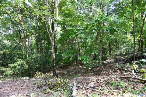 Vacant Land For Sale - LOT 67 Prince Circle<br/> Southside, AL 35907