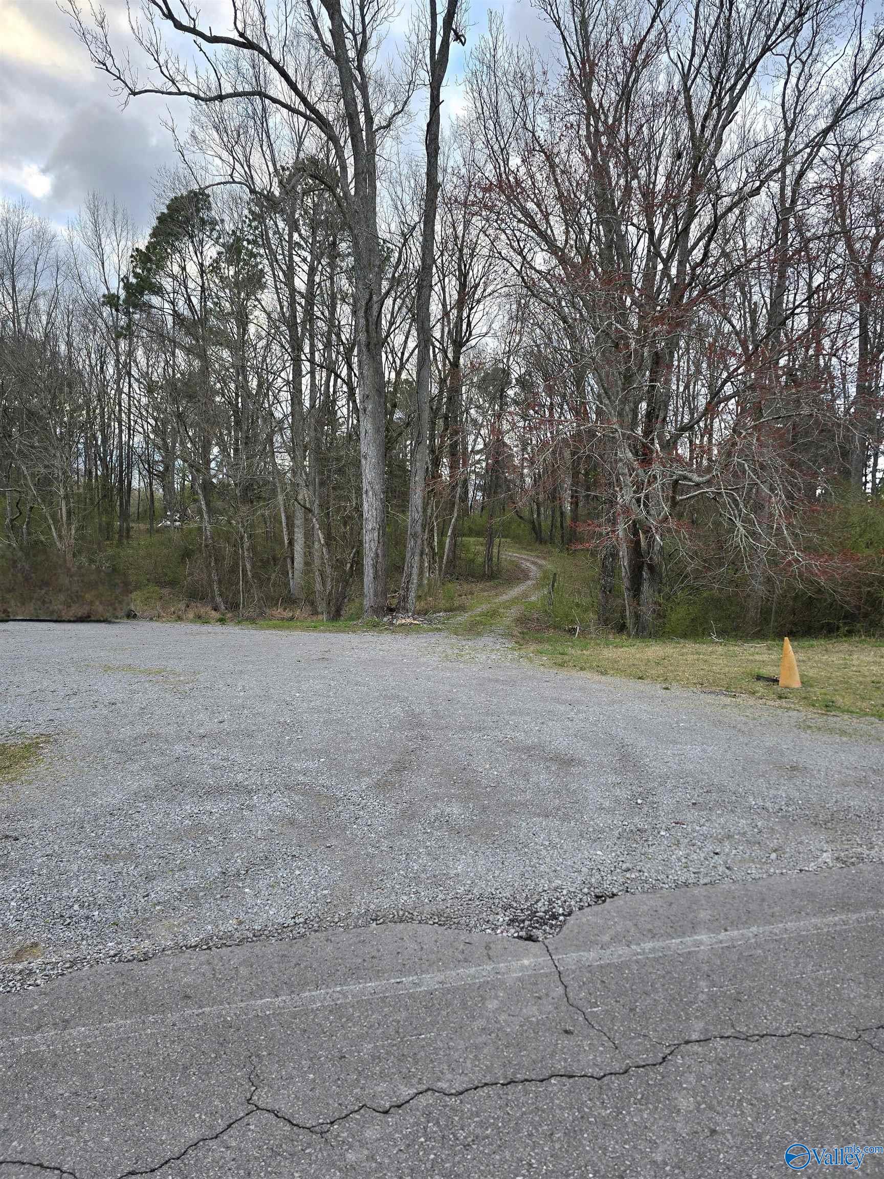 +/-10 E Lacon Road, Falkville, Alabama image 2