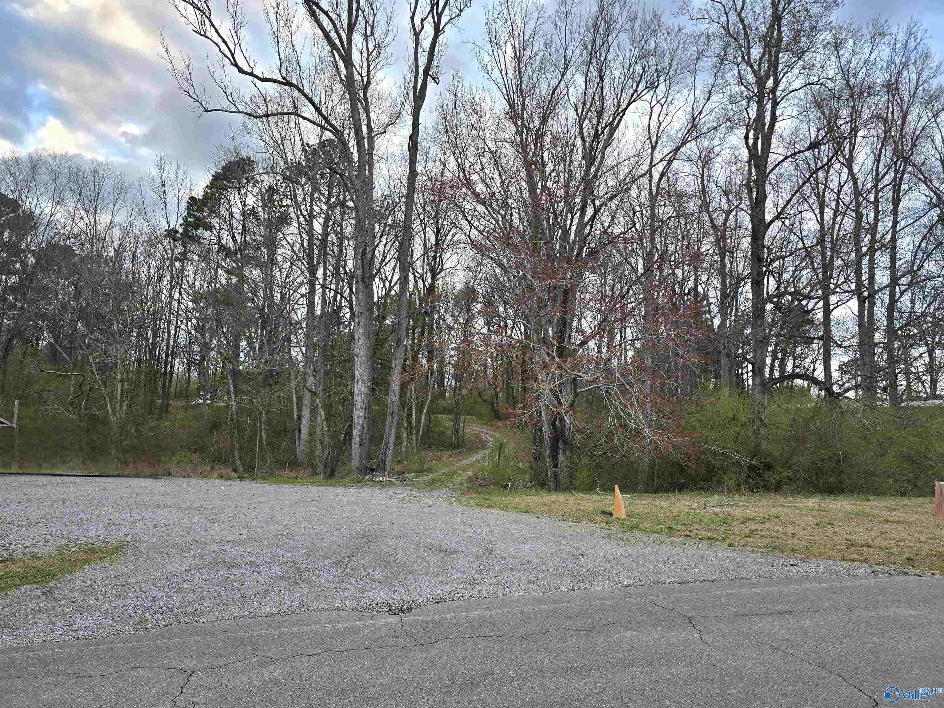 +/-10 E Lacon Road, Falkville, Alabama image 1
