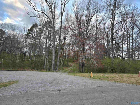 10 E LACON RD, FALKVILLE, AL 35622 - Image ffd11d45c653e7f8e1a279b255400ff6/581978038