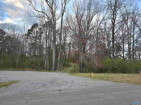 Vacant Land For Sale - +/-10 E Lacon Road<br/> Falkville, AL 35622