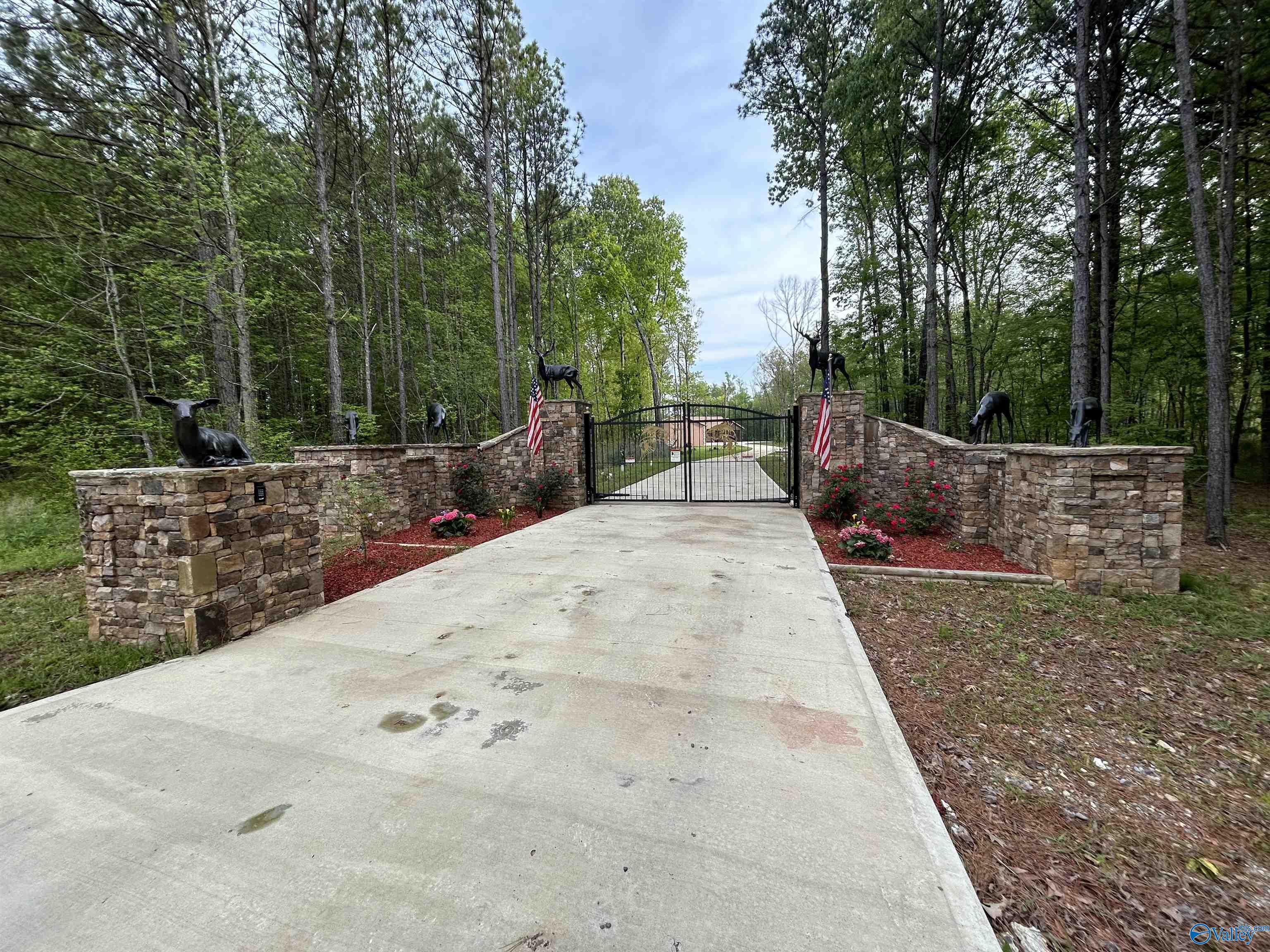 3899 Hidden Cove Drive, Cedar Bluff, Alabama image 9