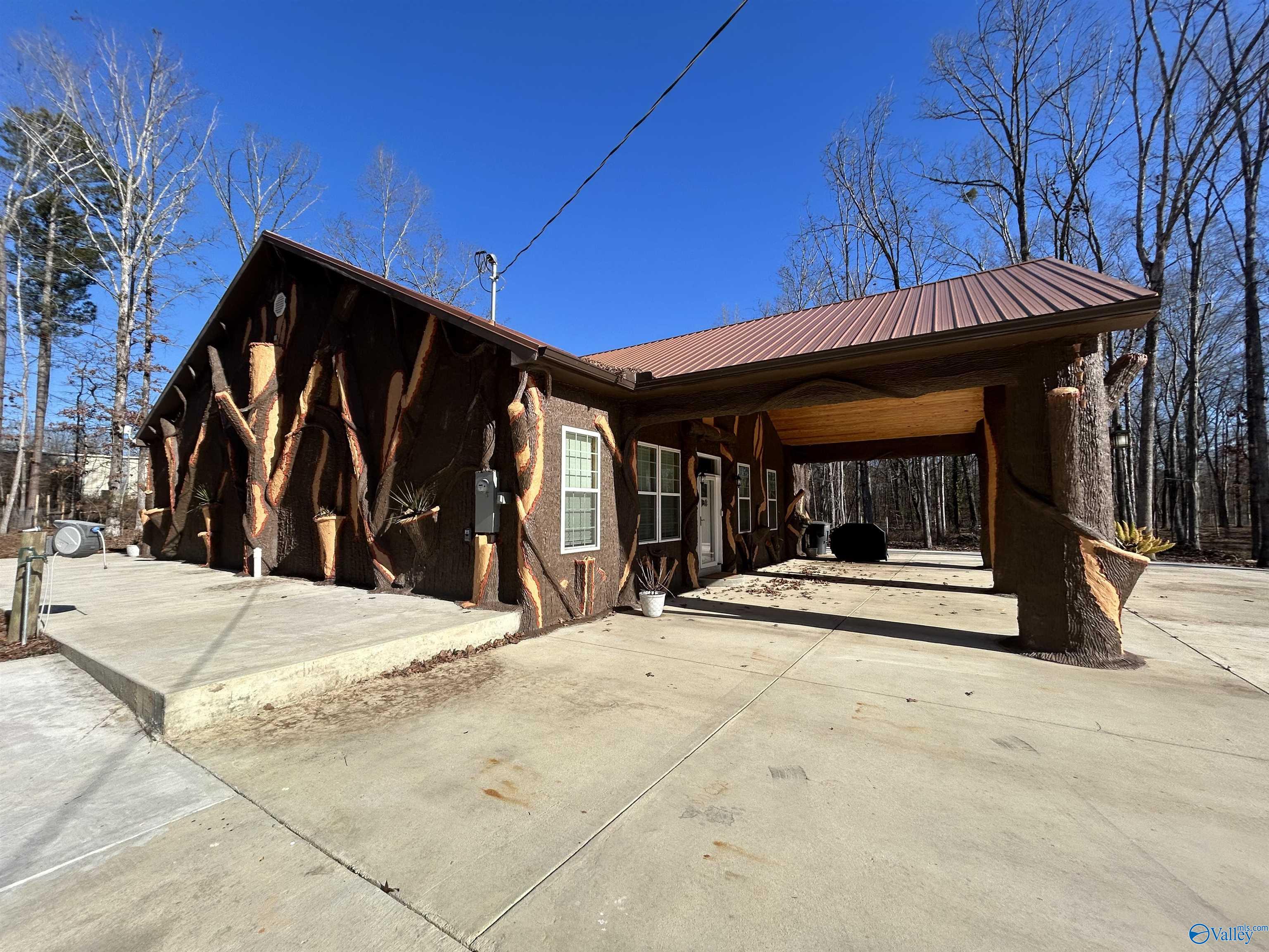 3899 Hidden Cove Drive, Cedar Bluff, Alabama image 1